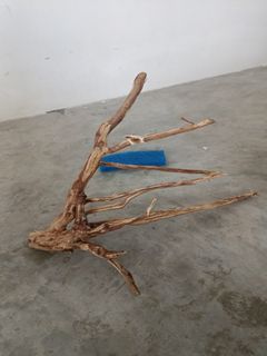 (Category: ) located in . Submitted by srialiff (Listing ID 1217919231, Image 1). Description: .