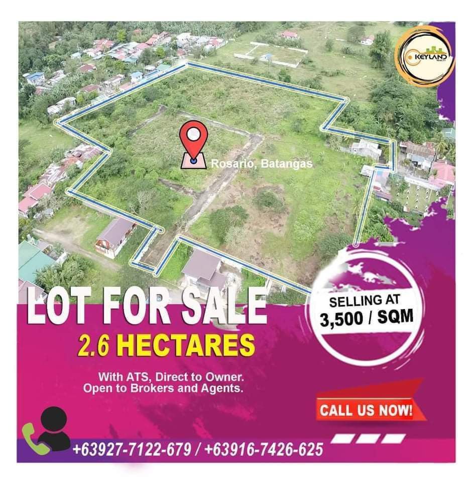 Batangas Subdivision lot 2.6 Hectare with Fence and gate, Property, For
