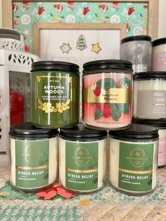 Bath and body works single wick candle