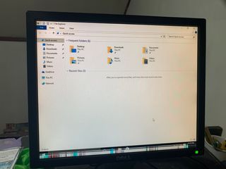 Dell 17" LCD Desktop Monitor with Screen Issue