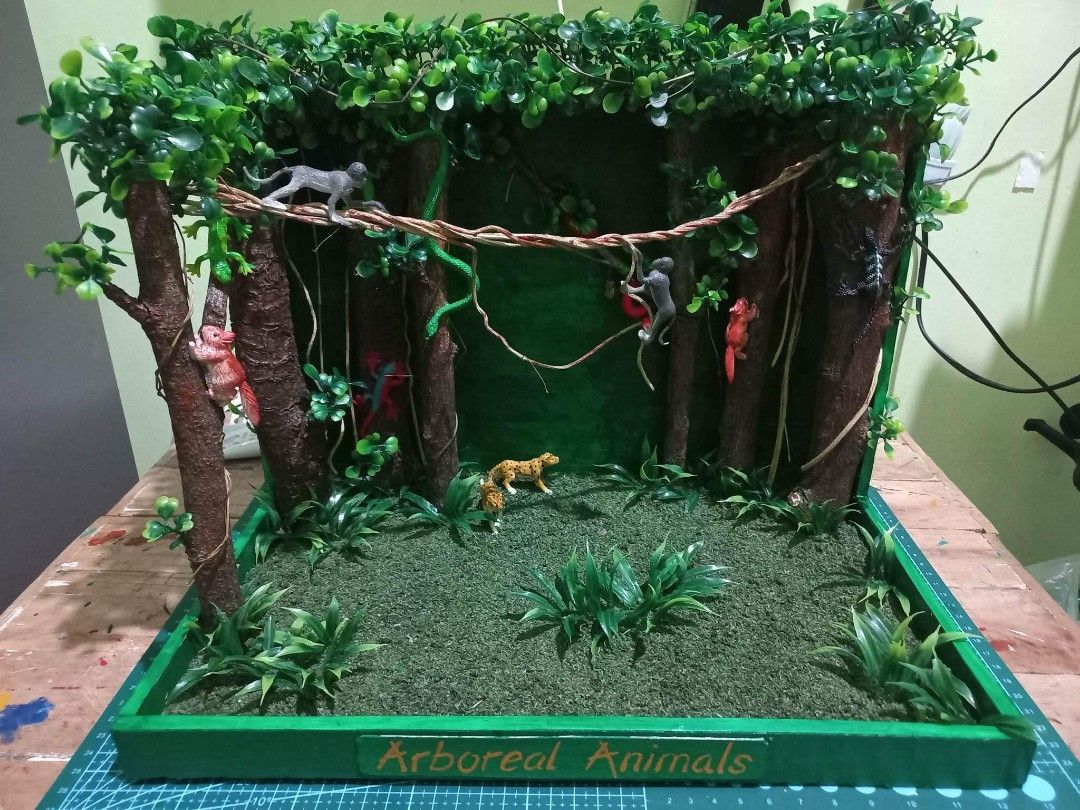 Diorama ARBOREAL ANIMALS, Hobbies & Toys, Stationary & Craft, Art & Prints  on Carousell