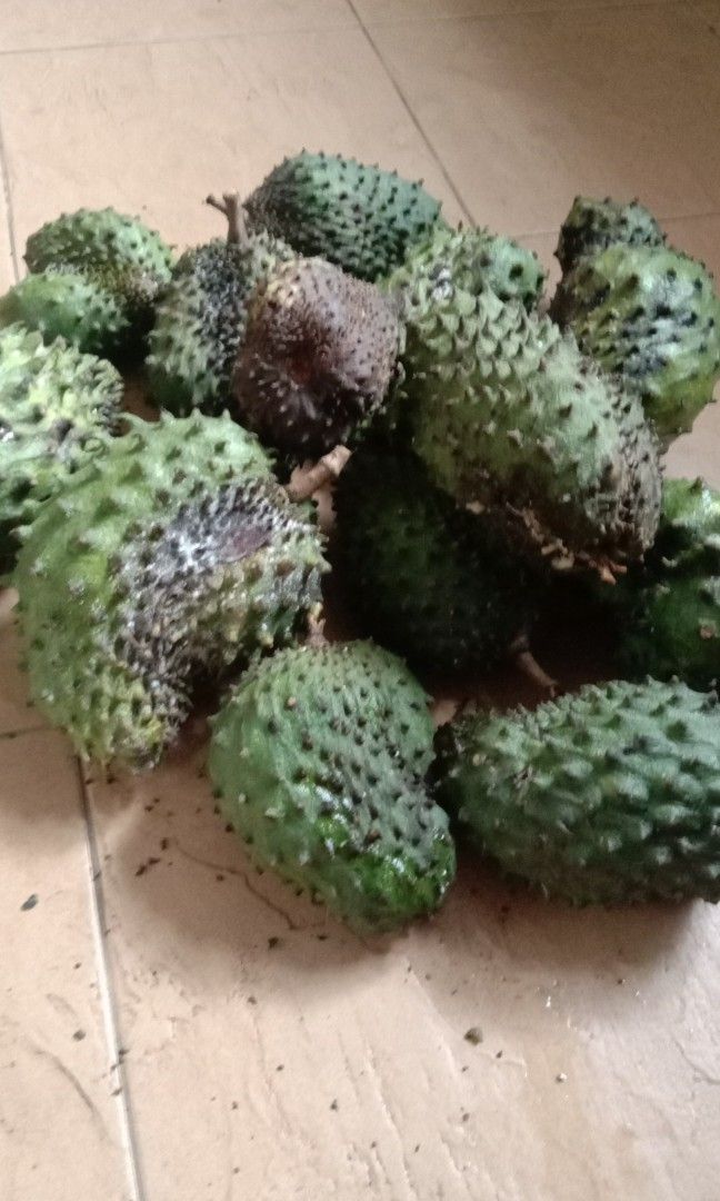 Durian belanda, Food & Drinks, Local Eats on Carousell