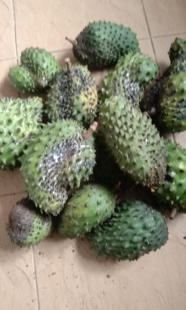 Durian belanda, Food & Drinks, Local Eats on Carousell