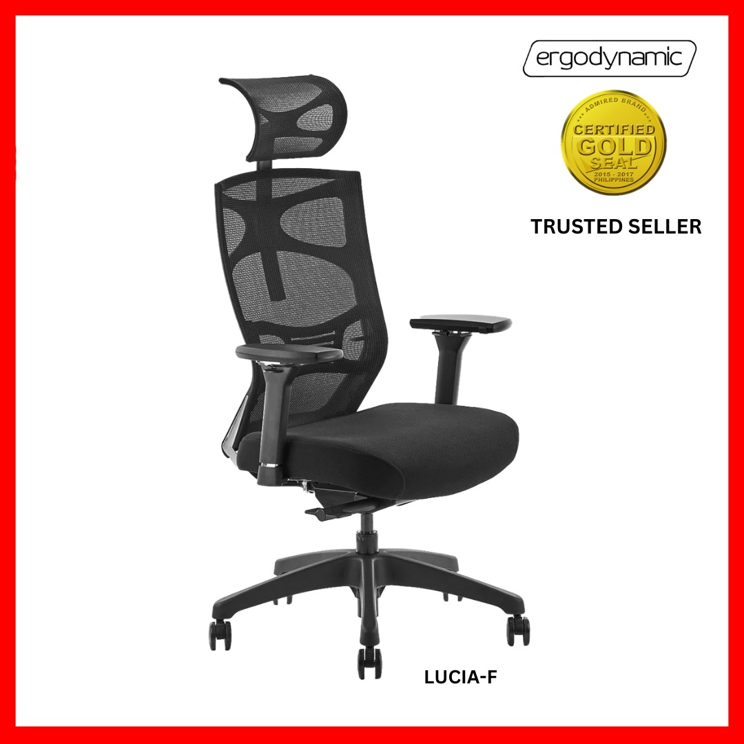 Ergodynamic LUCIAF High Back Chair, Mesh Chair, Executive Chair