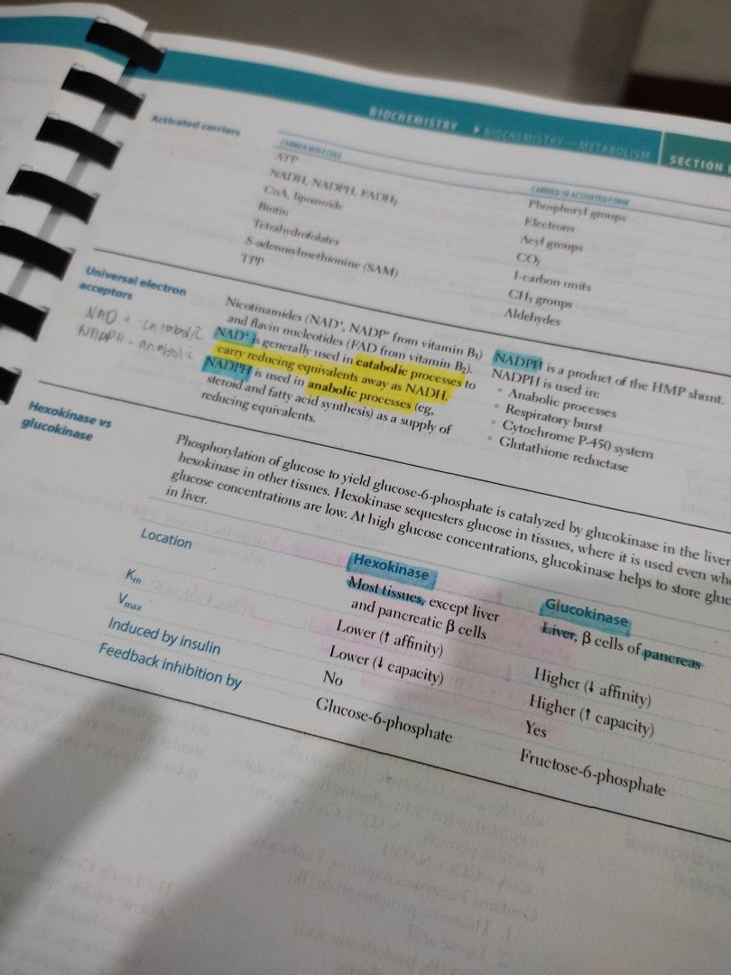 FIRST AID USMLE Step 1 2020 Edition (Booklet Size) (Category: Textbooks) located in Manila. Submitted by beeeee. (Listing ID 1217924692, Image 2). Description: FIRST AID USMLE STEP 1 2020 EDITION Slightly used Less than 20 pages of highlights and writings Spring bound Note: I removed the pages in the first chapter (Guide to Efficient Exam Prep) to make it easier to open the book since I didn't need it for my study sessions. ALL MEDICAL/EDUCATIONA