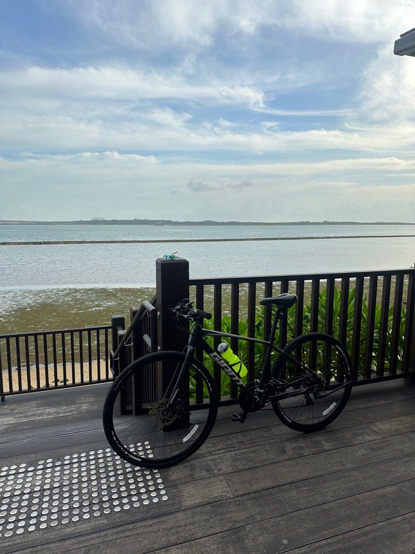 giant escape 1 hybrid bike