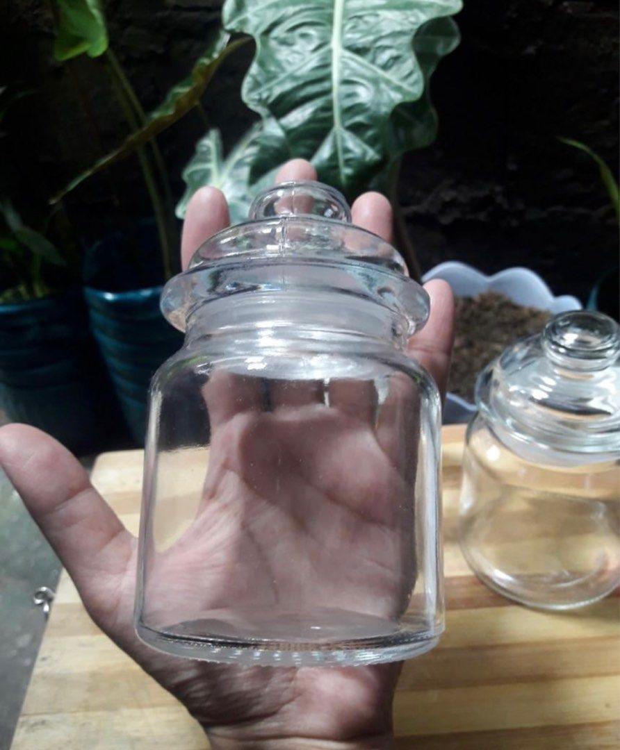 Glass Canister Set (Category: Food Organization & Storage) located in Quezon City. Submitted by sudo8 (Listing ID 1217875977, Image 2). Description: .