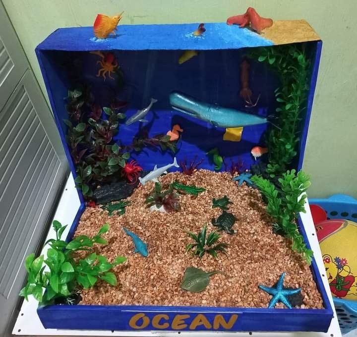ocean ecosystem diorama