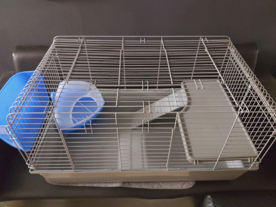 Chinchilla best sale cage size