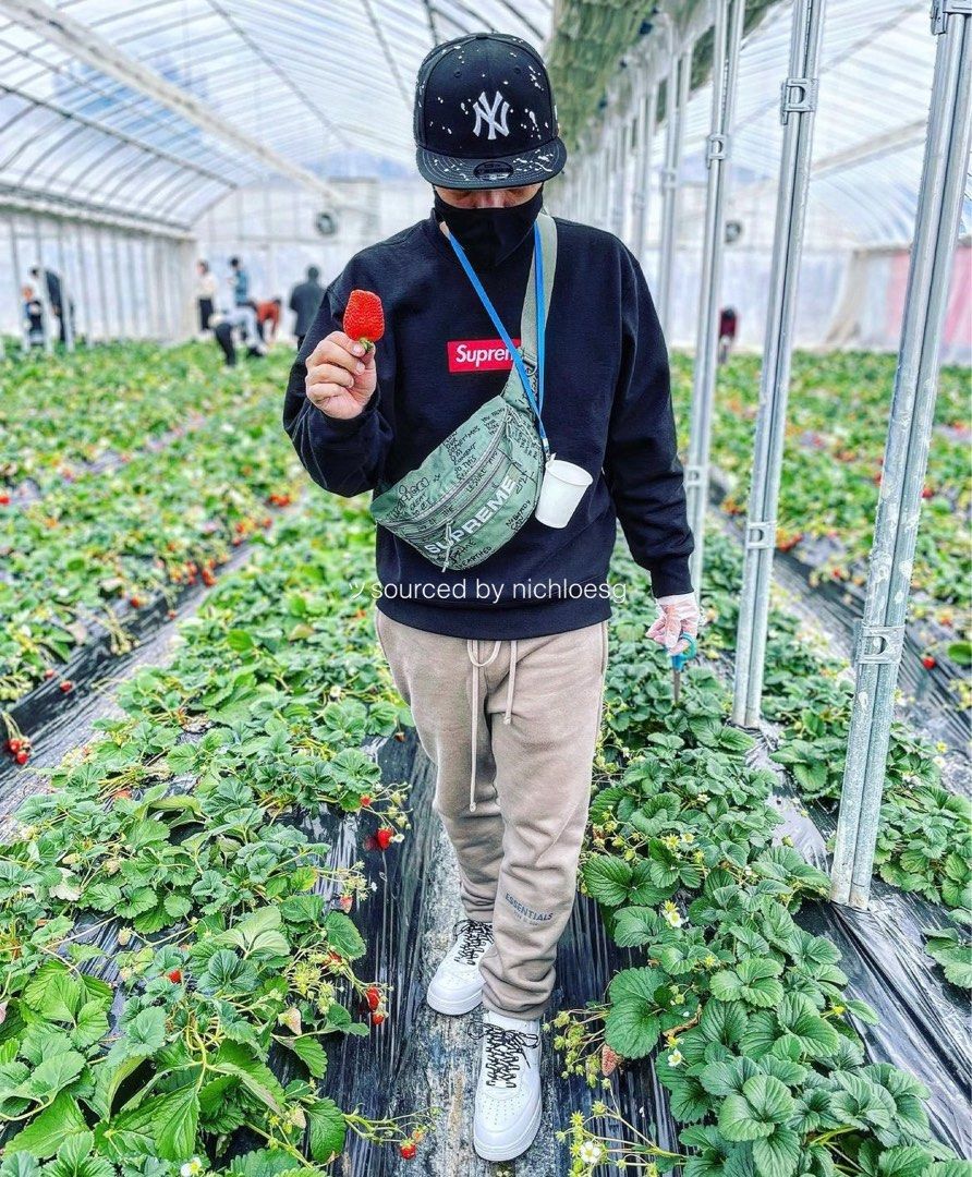 Bape23SS Field Waist Bag SUPREME - ウエストポーチ