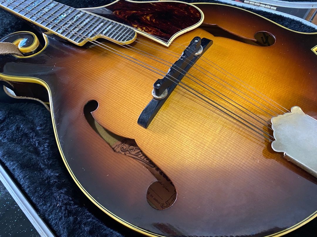 Aria pro 2025 ii mandolin