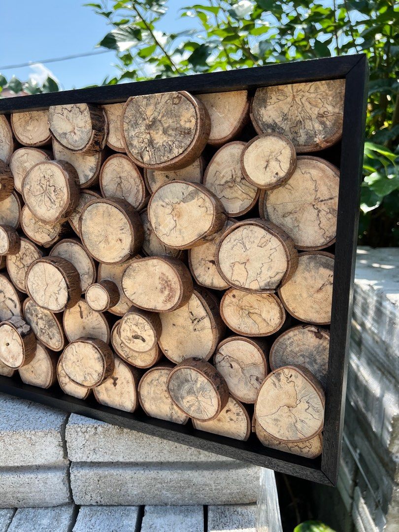 Wooden Wall Decor, Interior Design, Tamarind Wood Slice Wall Design