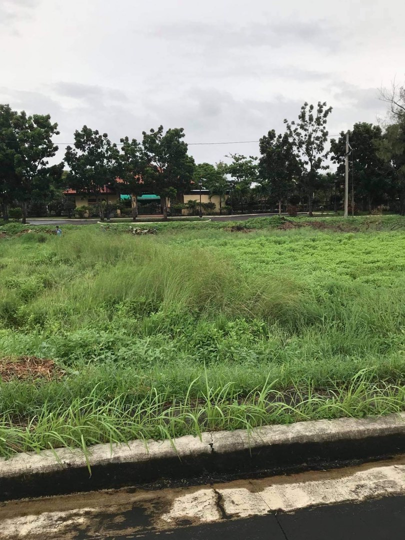 200sqm Clean Title Lot for Sale in Pallas Athena Classique Subd. Imus