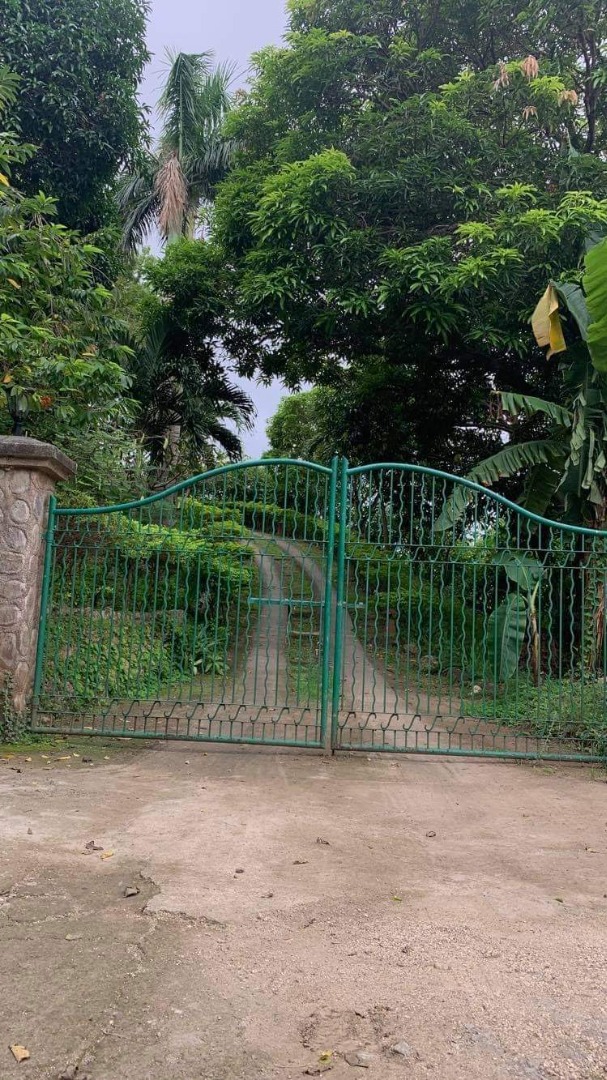 4 BR farm house in 9600sqm lot with seaview at Calatagan Batangas