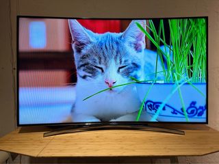 （分類：）位於 。 由 h6a2y1 提交（商品編號 1164428419，圖片 1）。簡介： 。