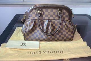 Buy Louis Vuitton Pre-loved LOUIS VUITTON Trevi PM Damier ebene Handbag PVC  leather Brown 2WAY 2023 Online