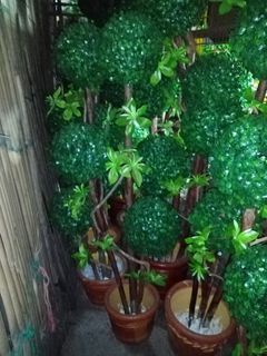 Boxwood ball Artificial Plants