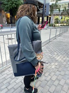 （分類：）位於 。 由 cc_pet 提交（商品編號 1213012089，圖片 1）。簡介： 。