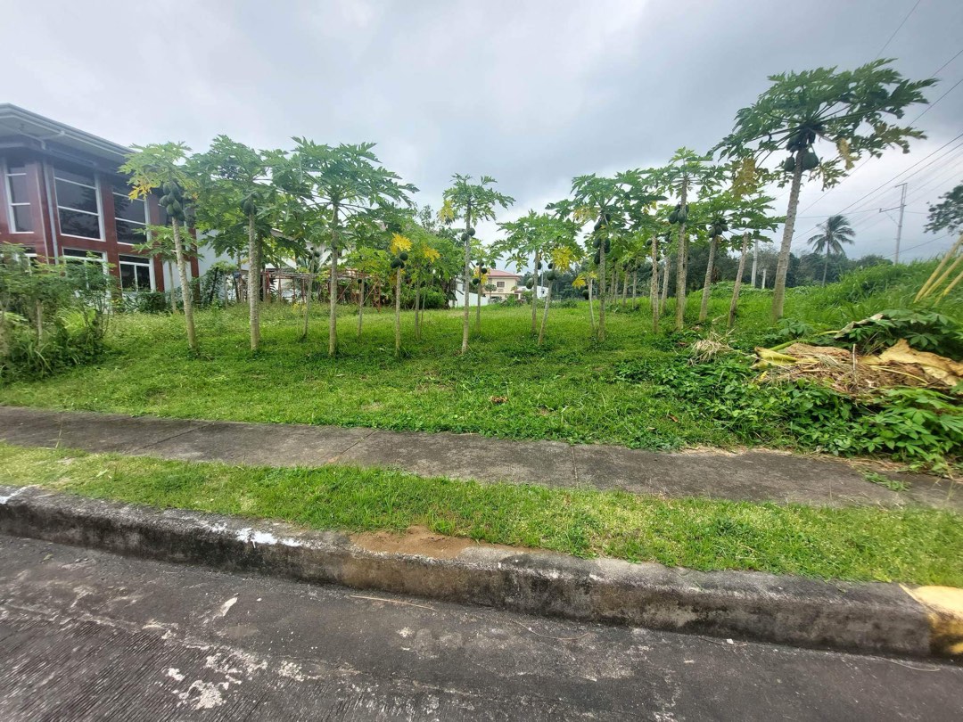 Clean Title 475 sqm corner lot for sale in Riviera Golf and country