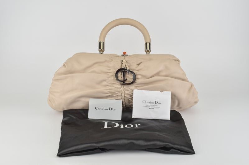 dior karenina bag