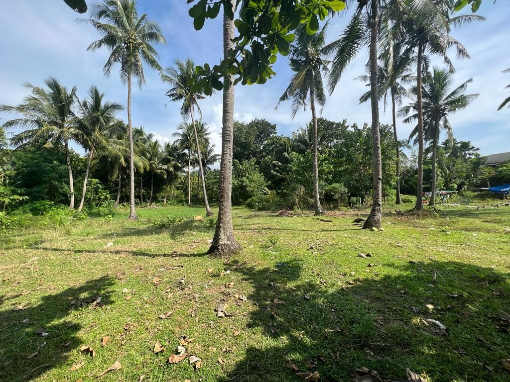 For Sale Beachfront Property in Malay Boracay, Property, For Sale
