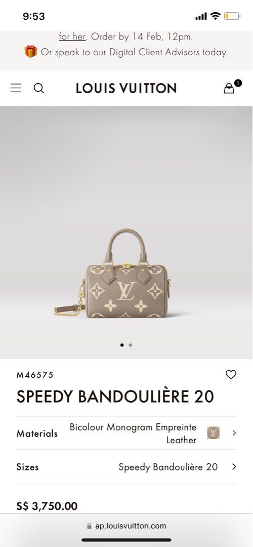 Speedy Bandoulière 20 Bicolour Monogram Empreinte Leather - Handbags M46575