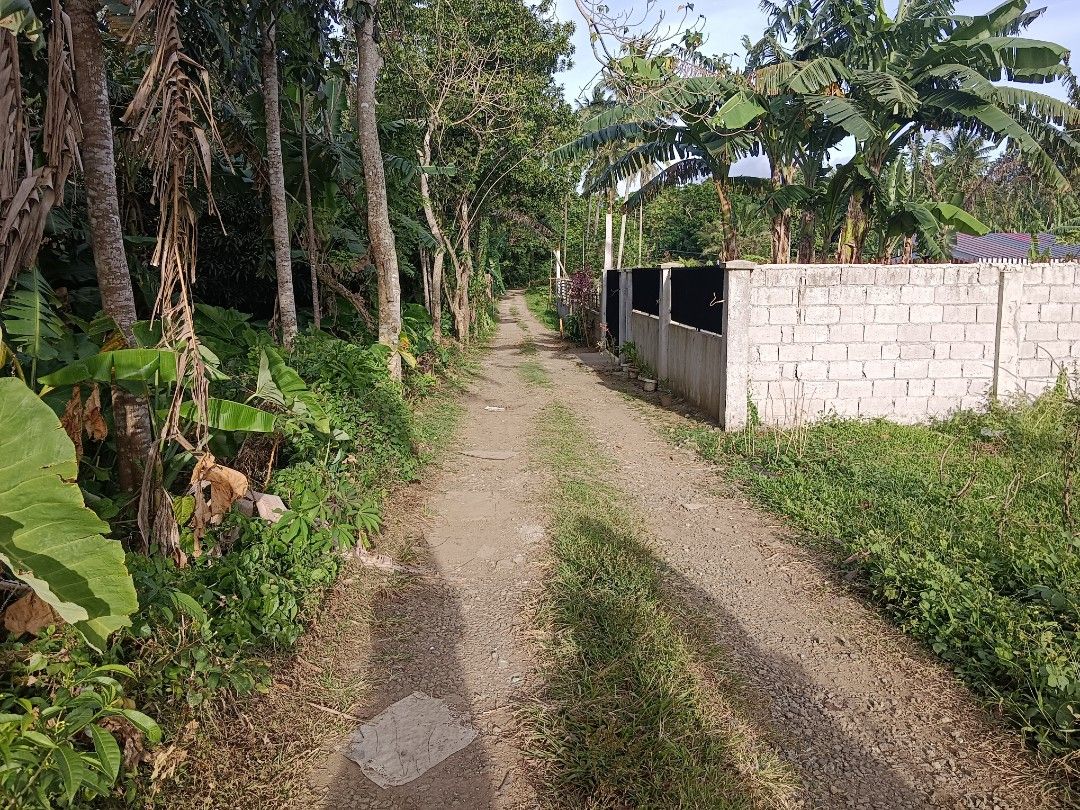 Mango Farm For Sale Near Alfonso Cavite, Property, For Sale, Lot on