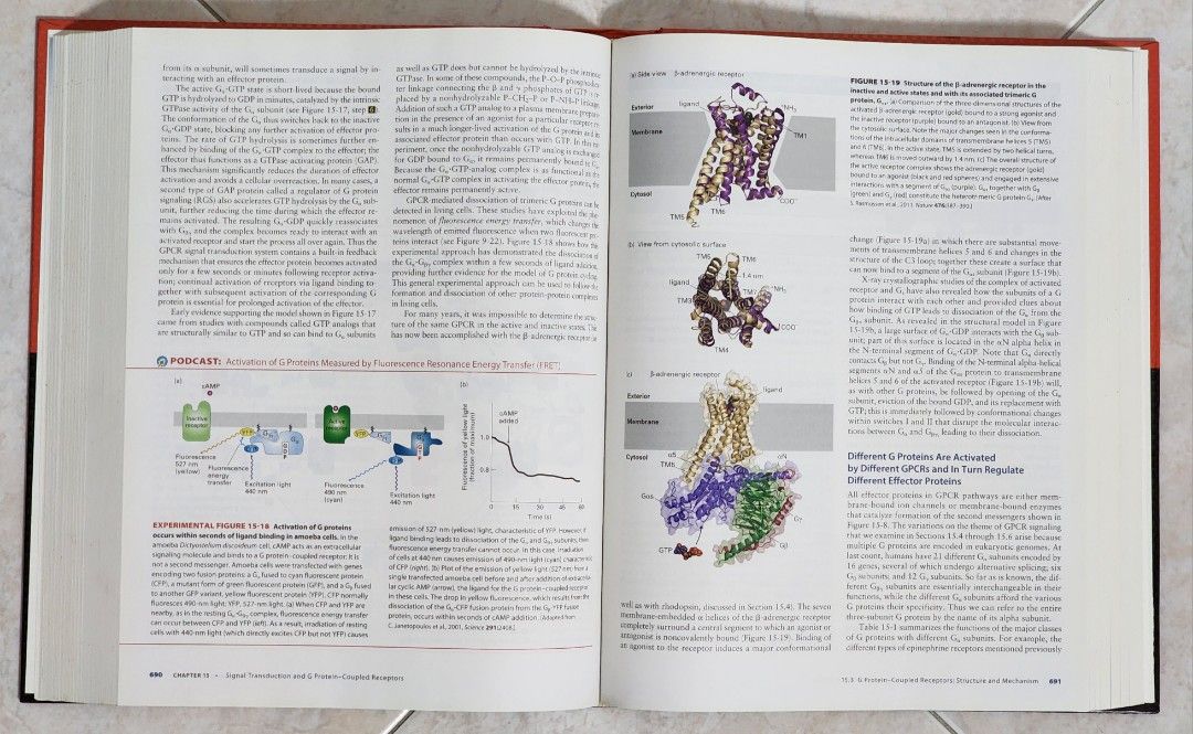 Molecular Cell Biology 7th Edition, Hobbies & Toys, Books & Magazines ...