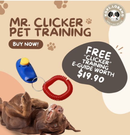  Diyife Clicker Training for Dogs, [2 Pcs] Dog Clicker