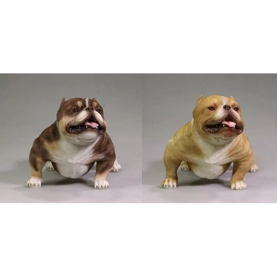 Mr.Z American Bully Dog 1 6 Scale 2.0 Version 002 004 Accessory