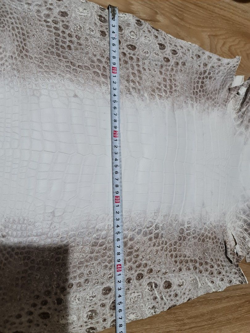 White best sale himalayan crocodile