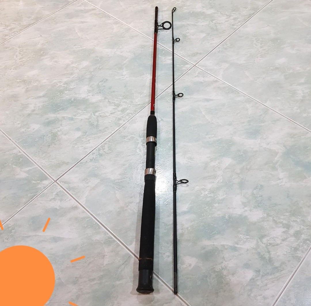 10ft Fishing Rod & Reel, Sports Equipment, Fishing on Carousell