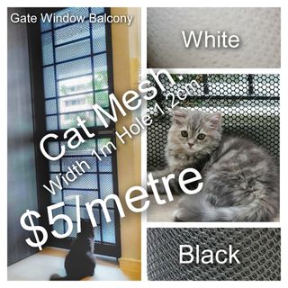 (Category: ) located in . Submitted by petstyle888 (Listing ID 1185563983, Image 1). Description: .