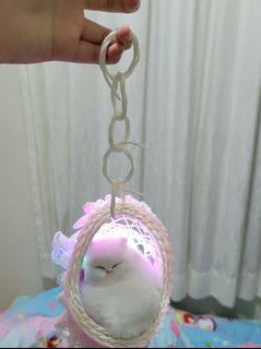 （分類：）位於 。 由 scylem 提交（商品編號 1213315264，圖片 1）。簡介： 。