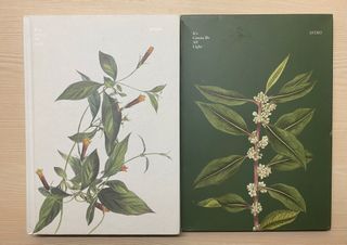 ASTRO all light album