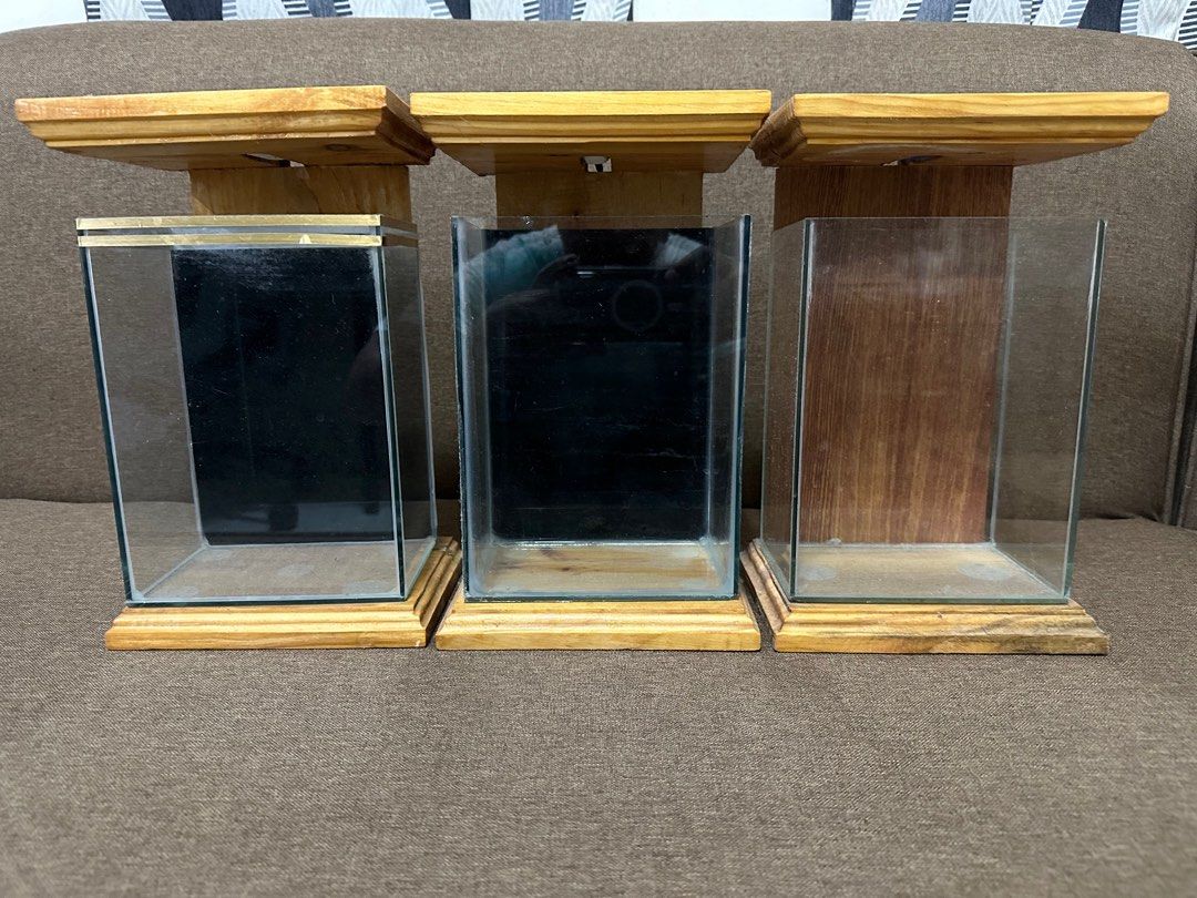 Beta tank w/ Wood frame and LED light (Category: Other Home Decor) located in Malolos. Submitted by g.salonga (Listing ID 1213228159, Image 1). Description: Lot sale - take all Tank size: 8x6x4 inches Frame w/ light size: 10.5x7x5.5inches LED working 2 white LED light 1 blue LED light.