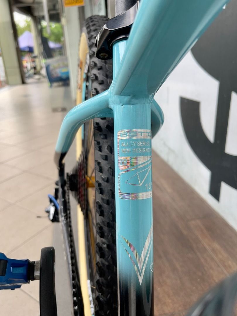 betta mtb frame