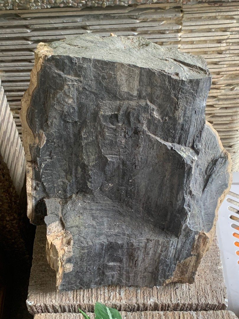 Bongkahan Kayu Jadi Ajaib: Meronting Bonsai Gaul ala Master Drip