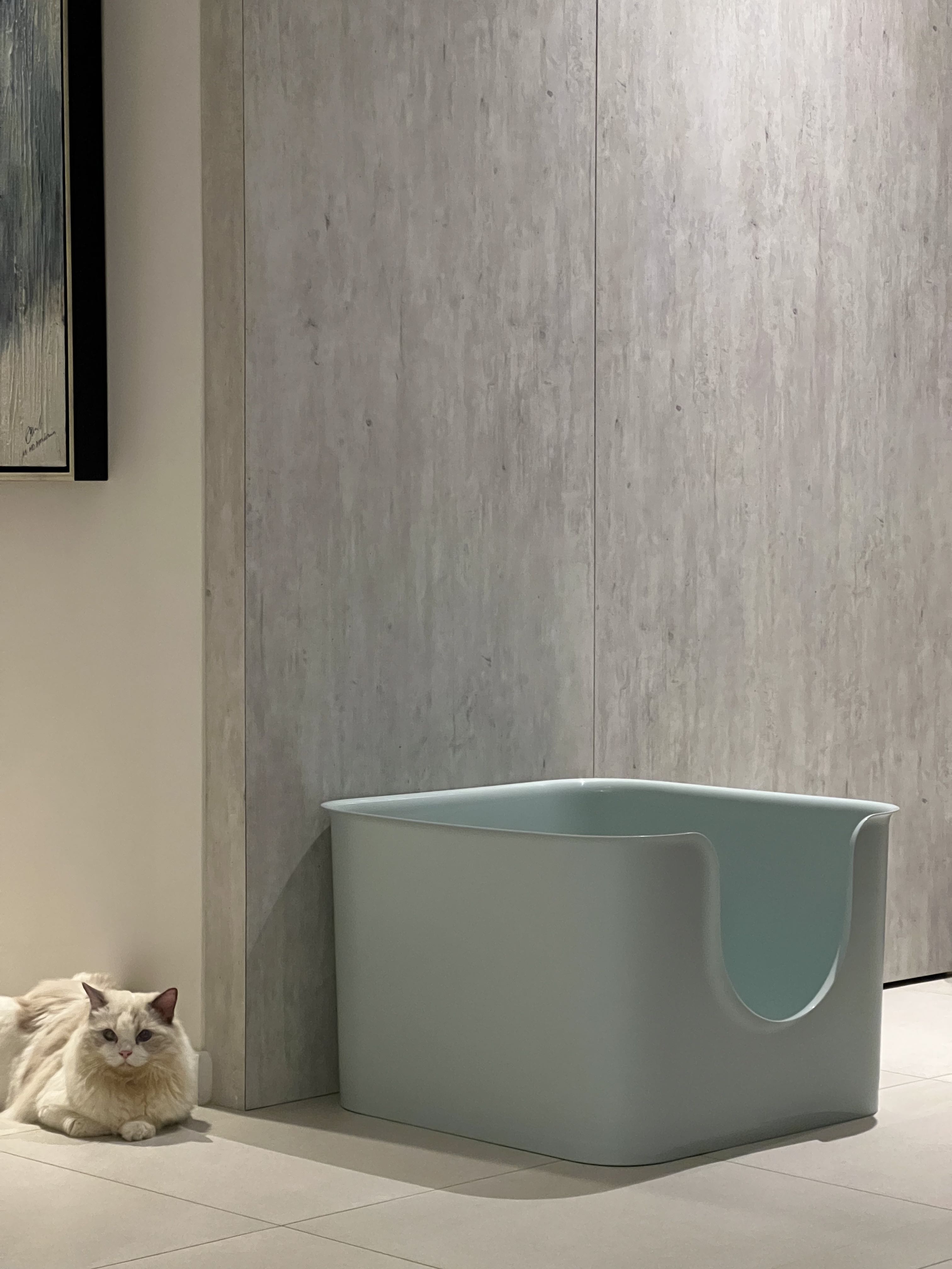 Korean cat litter box shop