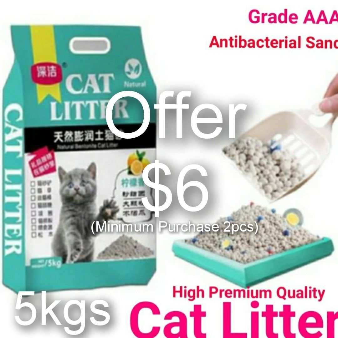 Litter sand for kitten 2025
