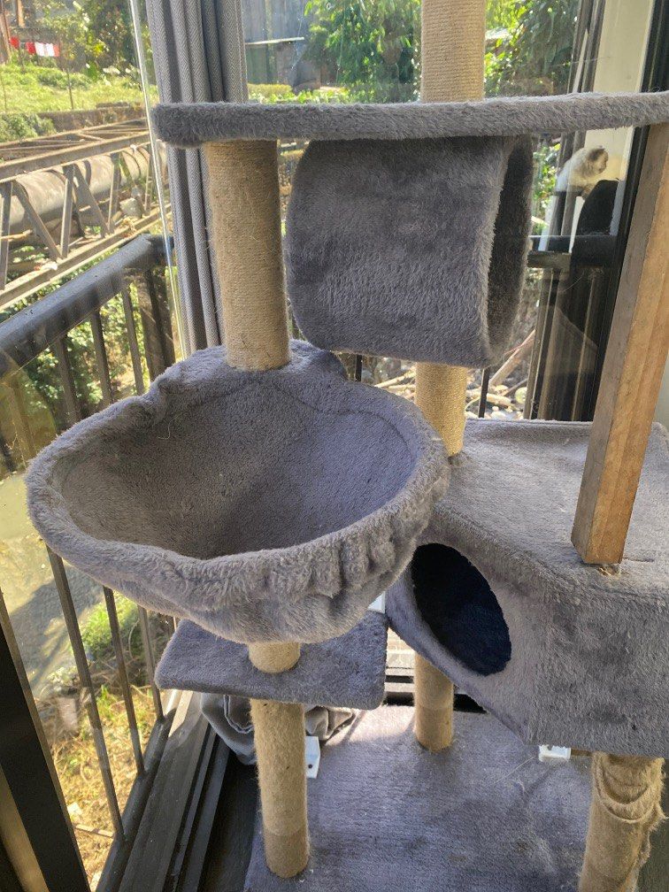Cat tower, Pet Supplies, Homes & Other Pet Accessories on Carousell
