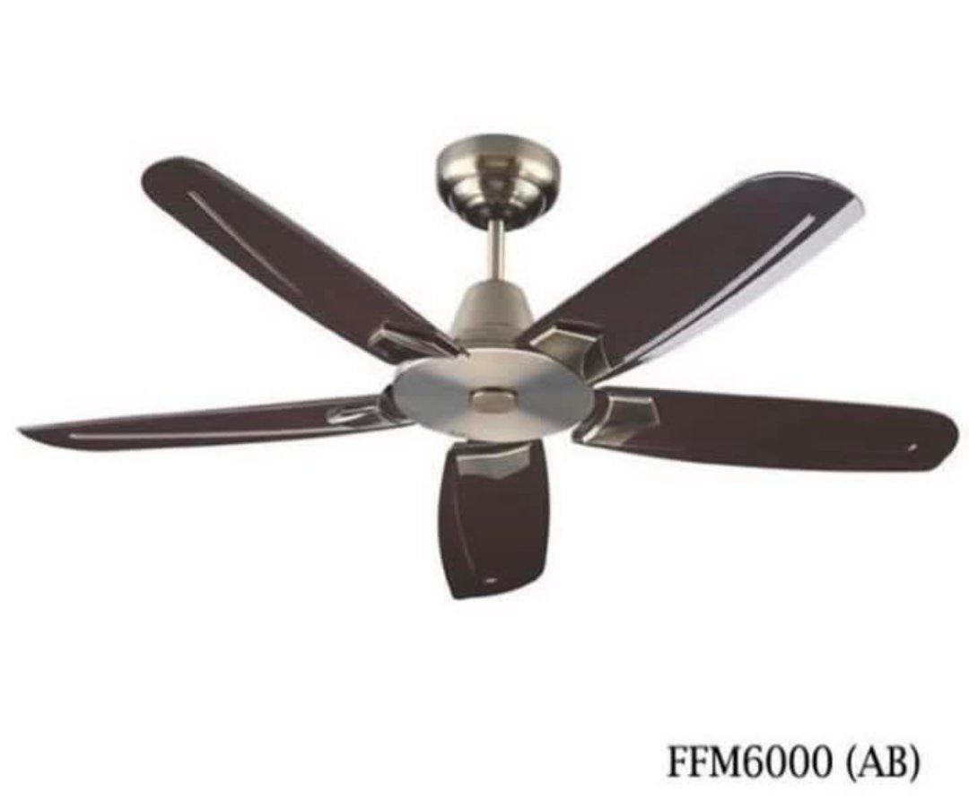 Ceiling fan repair, Home Services, Home Repairs, Electrician Services