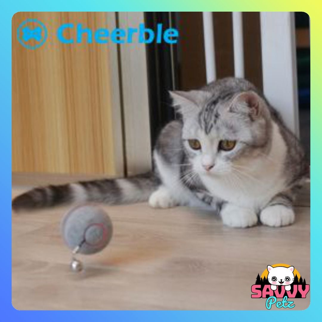 CHEERBLE Automatic Smart Interactive Cat Ball Toy – savvypetz