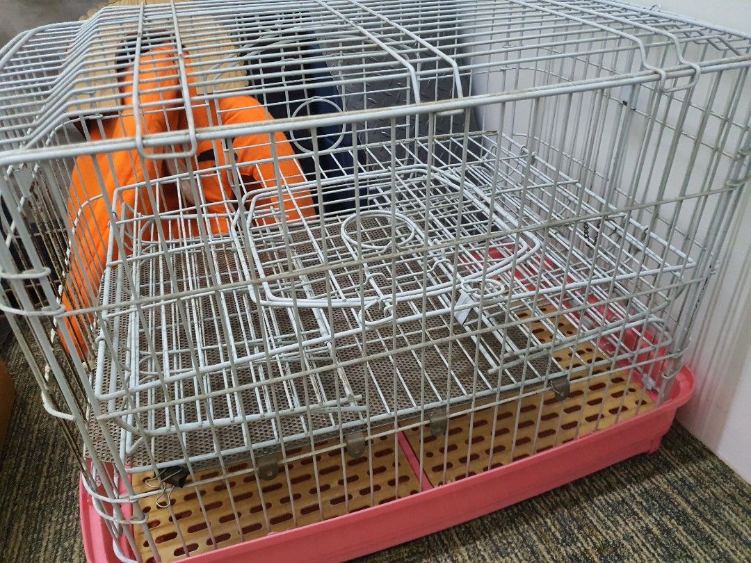 Chinchilla 2/3 tier cage with pull out tray, Pet Supplies, Homes