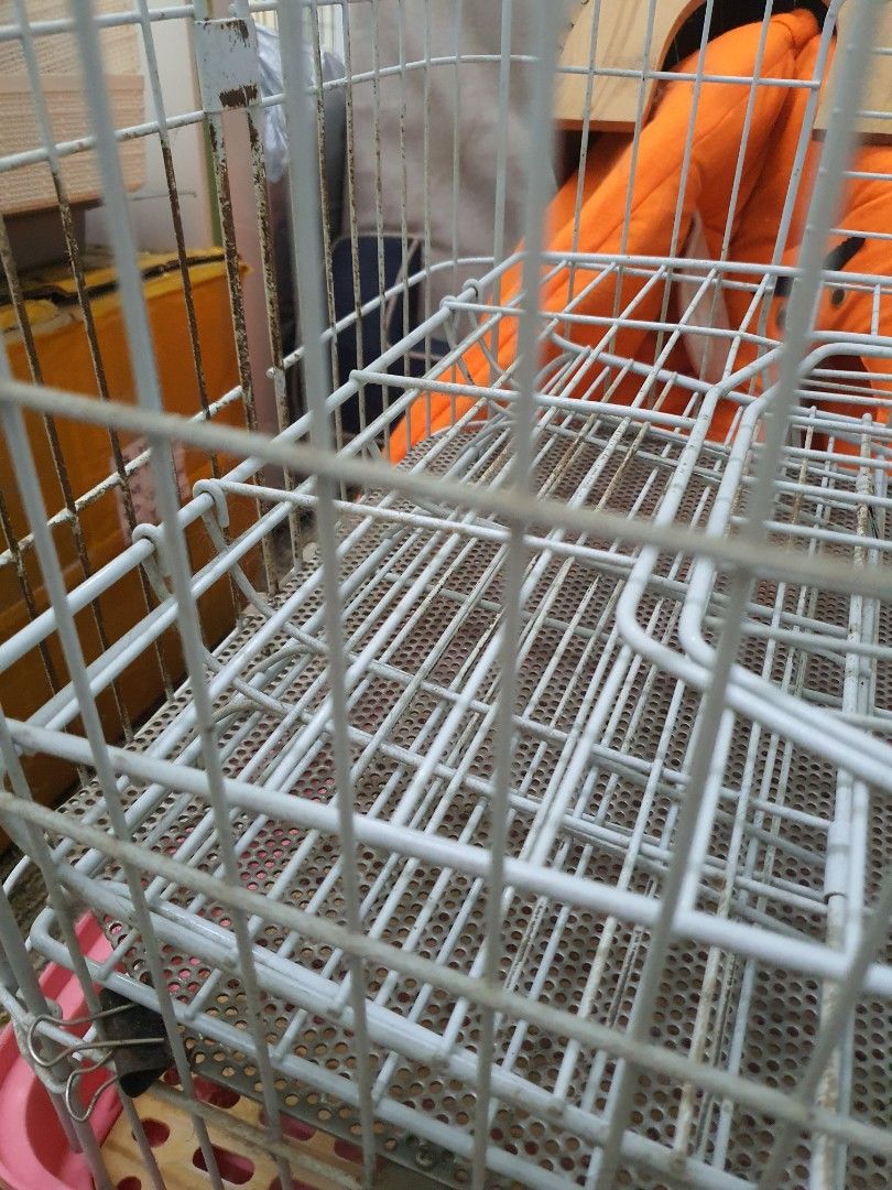 Chinchilla 2/3 tier cage with pull out tray, Pet Supplies, Homes