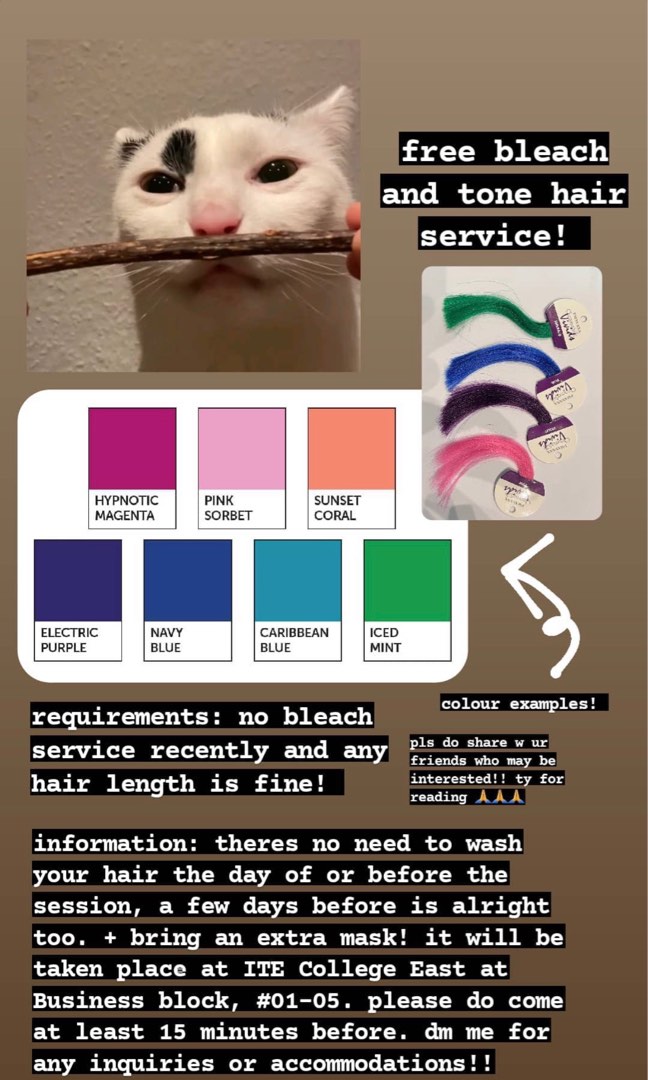 Free bleach and tone services available!, Beauty & Personal Care, Hair on Carousell
