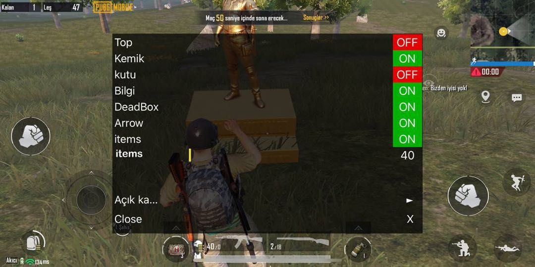 Cheat Menu