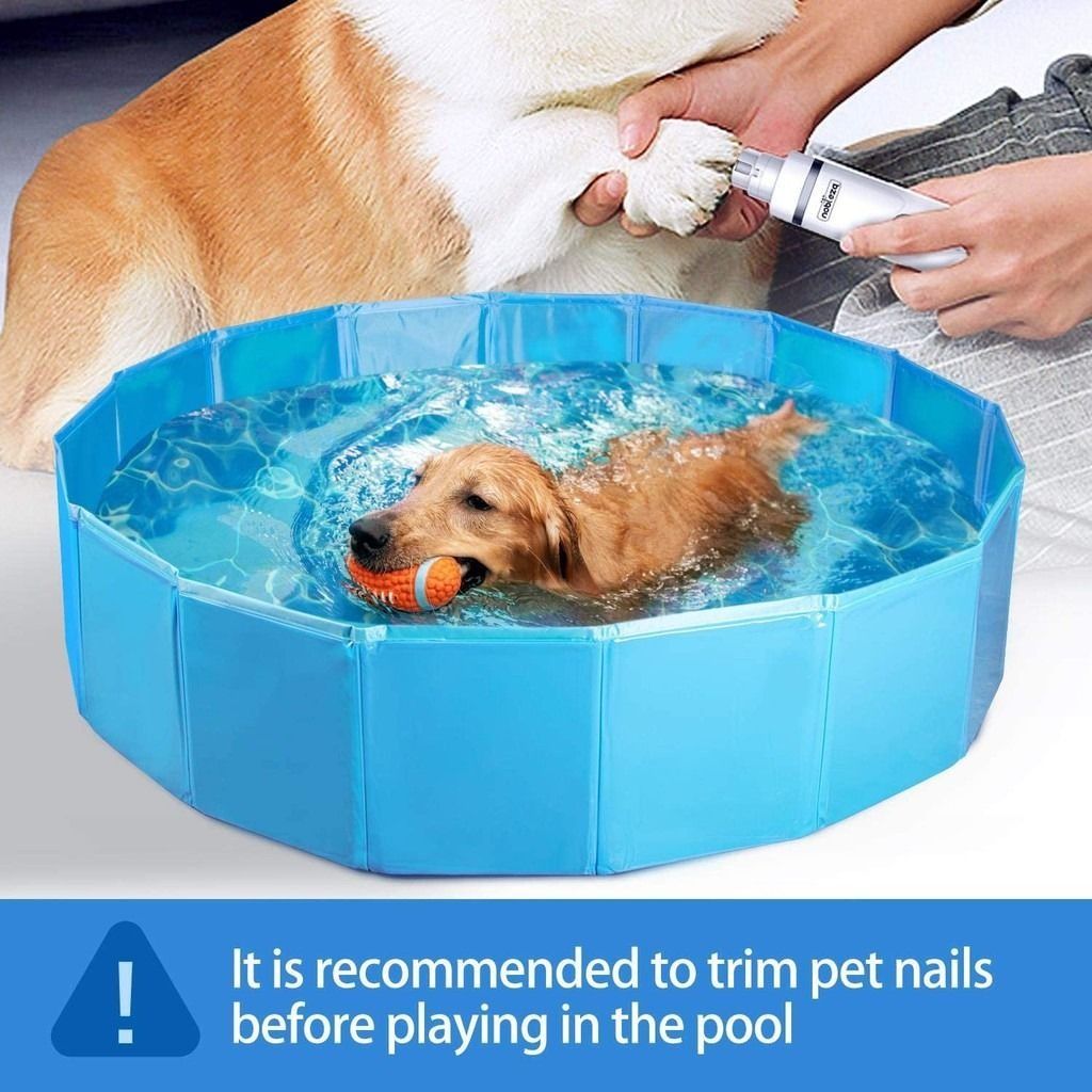 Portable bathtub deals for dogs