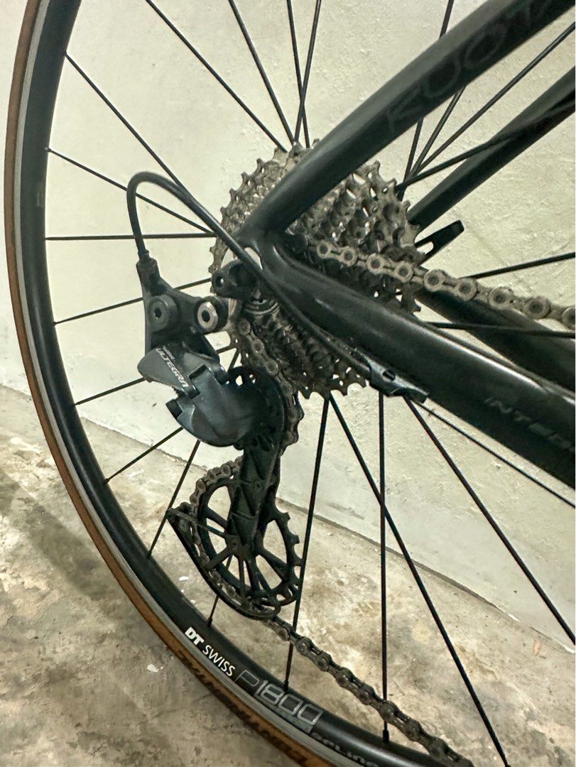 pull behind bike child carrier walmart