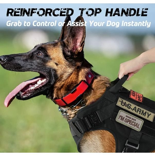 Service dog clearance supplies near me